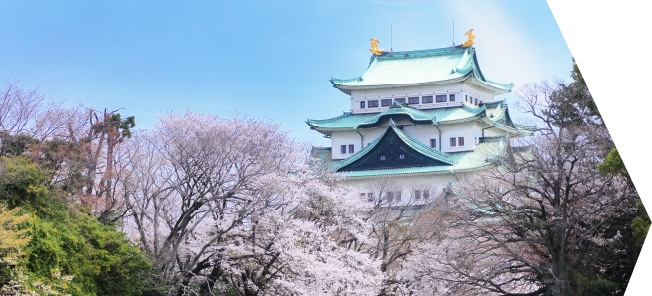 名古屋城と桜の写真